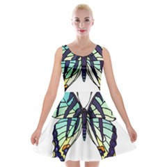 A Colorful Butterfly Velvet Skater Dress by Sudhe