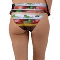 Abstract Barbeque Bbq Beauty Beef Frill Bikini Bottom View2