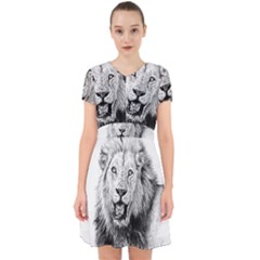 Lion Wildlife Art And Illustration Pencil Adorable In Chiffon Dress by Sudhe