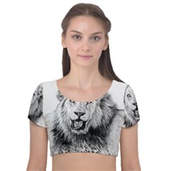 Lion Wildlife Art And Illustration Pencil Velvet Short Sleeve Crop Top  by Sudhe