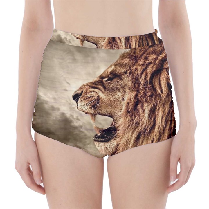 Roaring Lion High-Waisted Bikini Bottoms