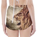 Roaring Lion High-Waisted Bikini Bottoms View2