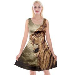 Roaring Lion Reversible Velvet Sleeveless Dress by Sudhe