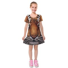 The Tiger Face Kids  Short Sleeve Velvet Dress by Sudhe