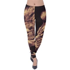 Angry Male Lion Gold Velvet Leggings by Sudhe