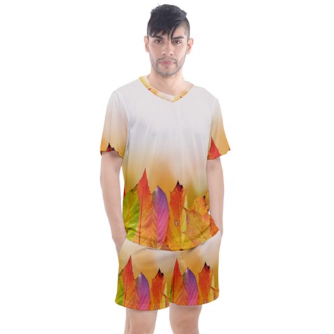 Autumn Leaves Colorful Fall Foliage Men s Mesh Tee And Shorts Set by Sudhe