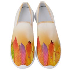 Autumn Leaves Colorful Fall Foliage Men s Slip On Sneakers by Sudhe