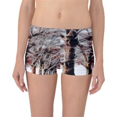 Autumn Fractal Forest Background Boyleg Bikini Bottoms by Sudhe