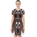 Dog Pup Animal Canine Brown Pet Adorable in Chiffon Dress View1