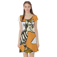 Zebra Animal Alphabet Z Wild Short Sleeve Skater Dress by Sudhe