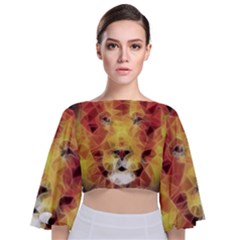 Fractal Lion Tie Back Butterfly Sleeve Chiffon Top by Sudhe