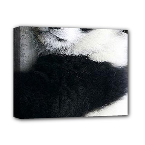 Panda Bear Sleeping Deluxe Canvas 14  X 11  (stretched) by Sudhe