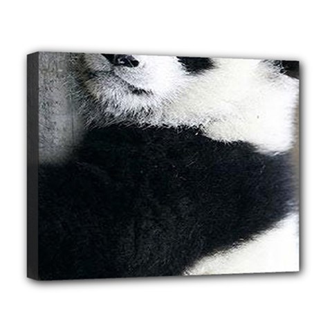 Panda Bear Sleeping Deluxe Canvas 20  X 16  (stretched) by Sudhe