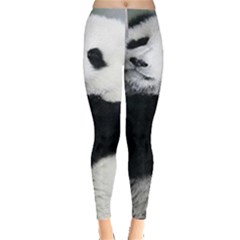 Panda Bear Sleeping Leggings  by Sudhe