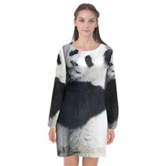 Panda Bear Sleeping Long Sleeve Chiffon Shift Dress  by Sudhe