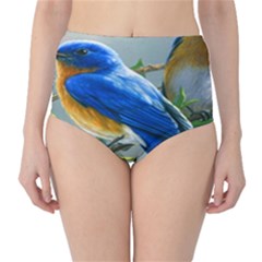 Loving Birds Classic High-waist Bikini Bottoms by Sudhe