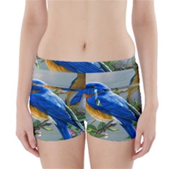 Loving Birds Boyleg Bikini Wrap Bottoms by Sudhe