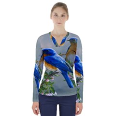 Loving Birds V-neck Long Sleeve Top by Sudhe