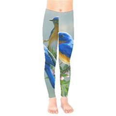 Loving Birds Kids  Legging by Sudhe