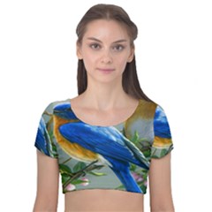 Loving Birds Velvet Short Sleeve Crop Top  by Sudhe