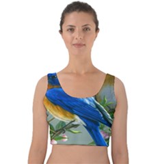 Loving Birds Velvet Crop Top by Sudhe