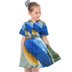 Loving Birds Kids  Sailor Dress by Sudhe