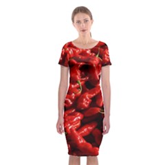 Red Chili Classic Short Sleeve Midi Dress by Sudhe