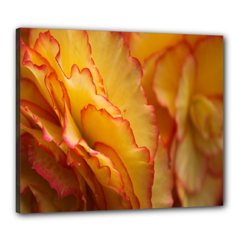 Flowers Leaves Leaf Floral Summer Canvas 24  X 20  (stretched) by Sudhe