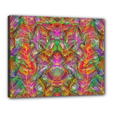 Background Psychedelic Colorful Canvas 20  X 16  (stretched) by Sudhe