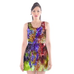 Splashes Of Color Background Scoop Neck Skater Dress by Sudhe