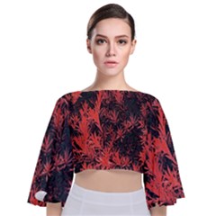 Orange Etched Background Tie Back Butterfly Sleeve Chiffon Top