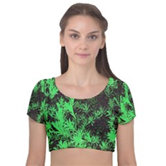 Green Etched Background Velvet Short Sleeve Crop Top 