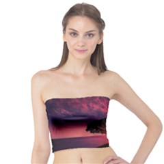 Flight Landscape Nature Sky Tube Top by Sudhe