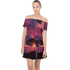 Flight Landscape Nature Sky Off Shoulder Chiffon Dress