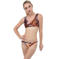 Light Landscape Nature Red The Little Details Bikini Set