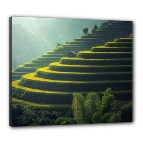 Scenic View Of Rice Paddy Canvas 24  X 20  (stretched) by Sudhe