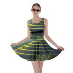 Scenic View Of Rice Paddy Skater Dress by Sudhe