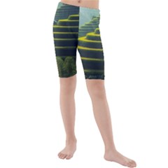 Scenic View Of Rice Paddy Kids  Mid Length Swim Shorts by Sudhe