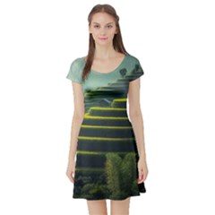 Scenic View Of Rice Paddy Short Sleeve Skater Dress by Sudhe