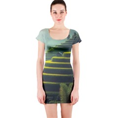 Scenic View Of Rice Paddy Short Sleeve Bodycon Dress by Sudhe