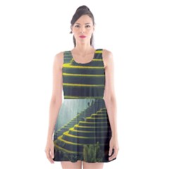 Scenic View Of Rice Paddy Scoop Neck Skater Dress by Sudhe