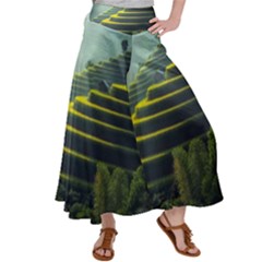 Scenic View Of Rice Paddy Satin Palazzo Pants