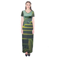 Scenic View Of Rice Paddy Short Sleeve Maxi Dress by Sudhe