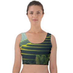 Scenic View Of Rice Paddy Velvet Crop Top by Sudhe