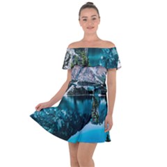 Daylight Forest Glossy Lake Off Shoulder Velour Dress by Sudhe