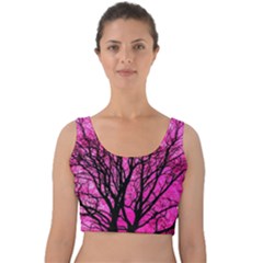 Pink Silhouette Tree Velvet Crop Top