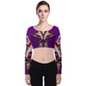 Toy Plane Outer Space Launching Velvet Long Sleeve Crop Top View1