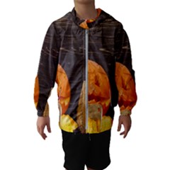 Old Crumpled Pumpkin Hooded Windbreaker (kids)