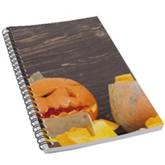 Old Crumpled Pumpkin 5 5  X 8 5  Notebook by rsooll