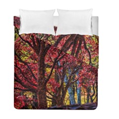 Autumn Colorful Nature Trees Duvet Cover Double Side (full/ Double Size) by Sudhe